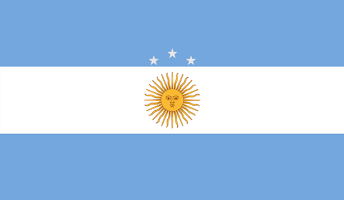Argentina Soccer Fan Flag – World Cup 2026