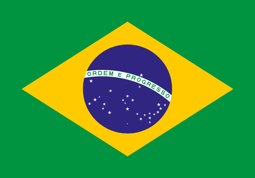 Brazil Soccer Fan Flag – World Cup 2026